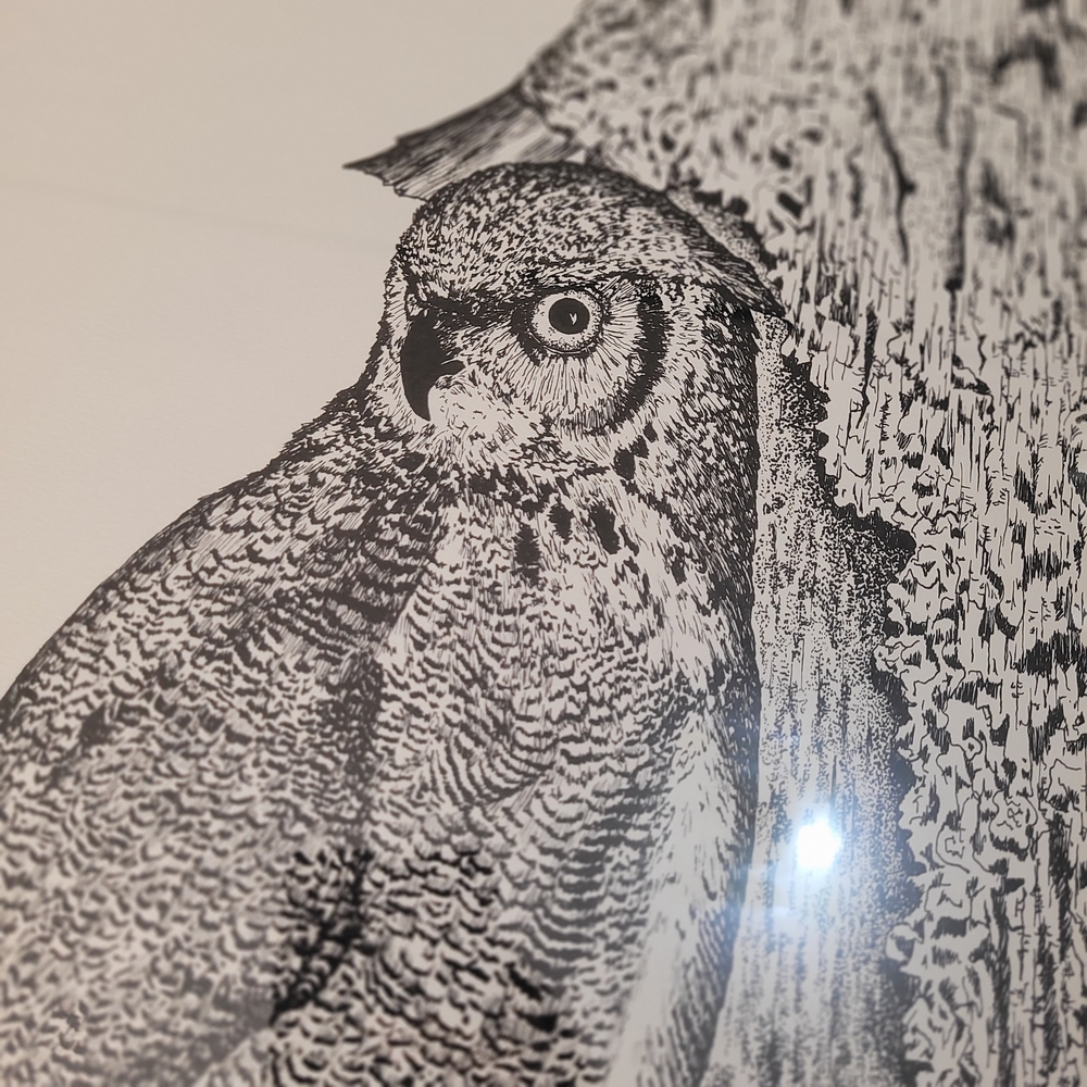 White Owl Art Print Great White Horned Glen Scrimshaw - Picture 3 of 3